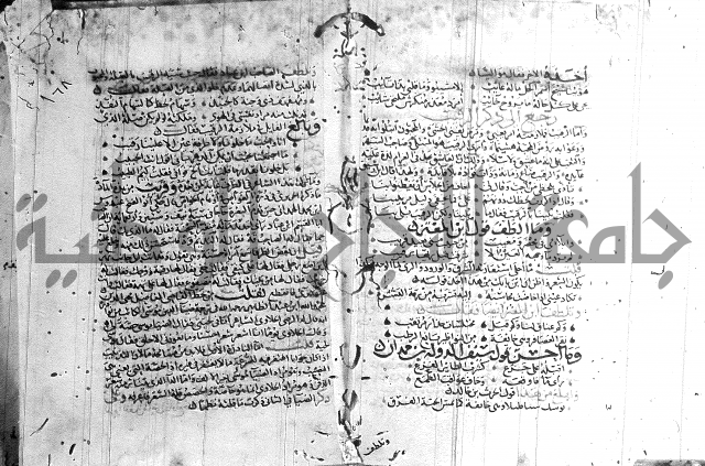 شرح لامية العجم 
