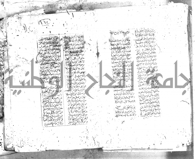 خلاصة التنوير 