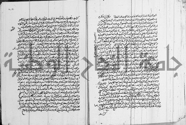 كتاب في اللغة