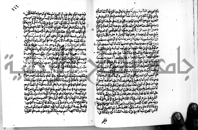 مختصر حاشية القهوتي 