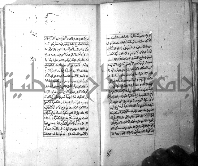 شرح الشافية 