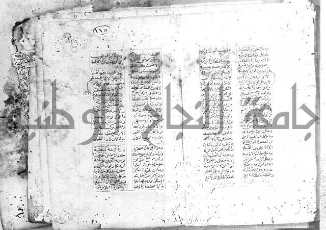 خلاصة التنوير 