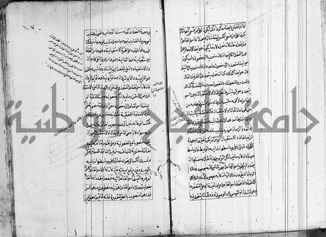 فوائد على الكافية 