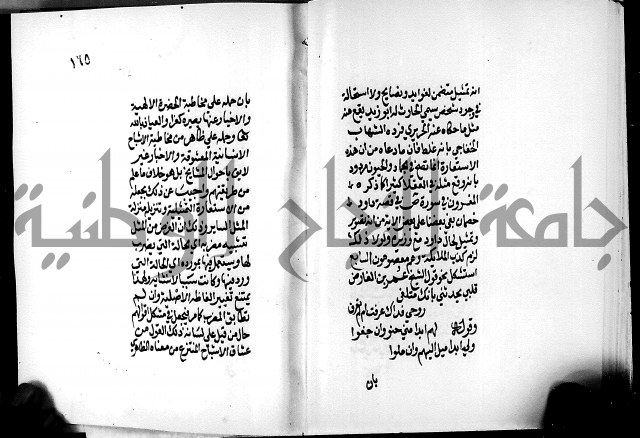 الرسالة البيانية