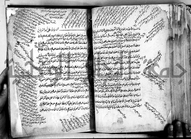 مذهب ابي حنيفة في الفقة