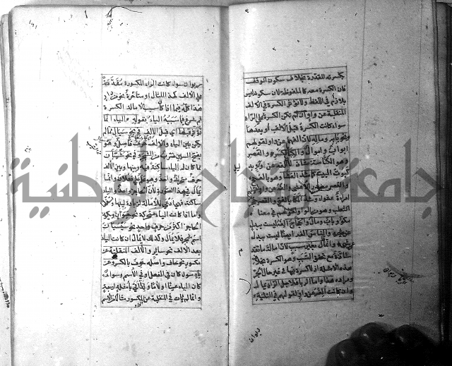شرح الشافية 