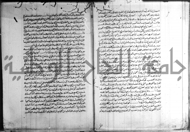 القول التام 