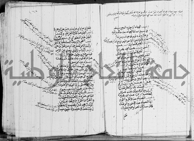 الجامع الصغير