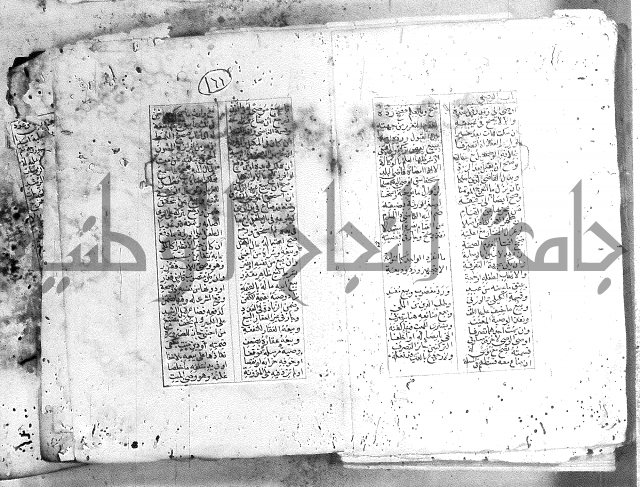 خلاصة التنوير 