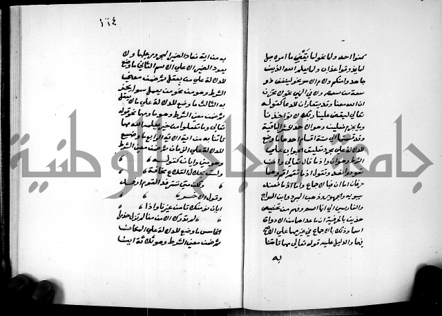 شرح شذور الذهب في معرفة كلام العرب 
