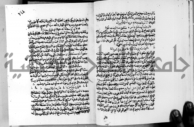 مختصر حاشية القهوتي 