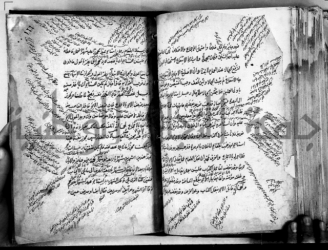 مذهب ابي حنيفة في الفقة