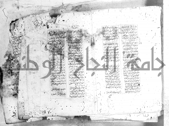 خلاصة التنوير 