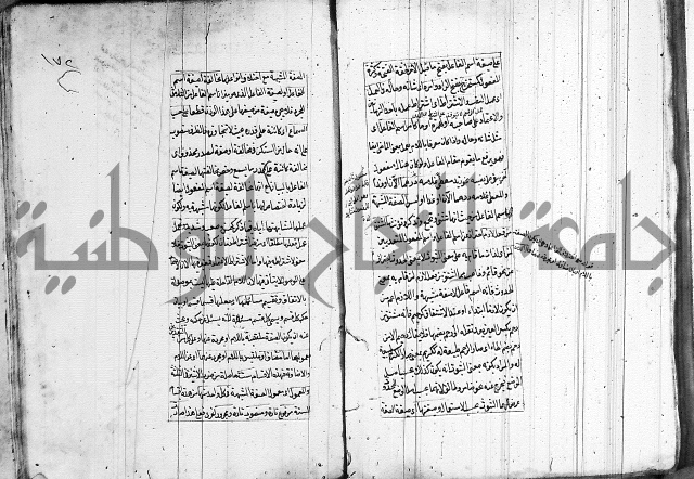فوائد على الكافية 