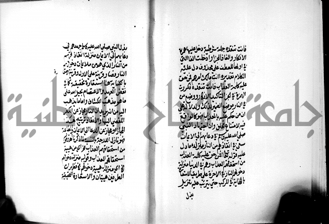 الرسالة البيانية