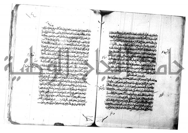 شرح شذور الذهب لابن هشام