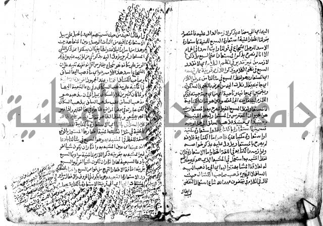 شرح الاستعارة الصغير للملوي