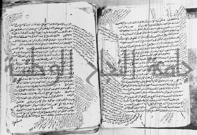 الزيادي على المنهج 