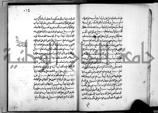 الفتاوى الامينية