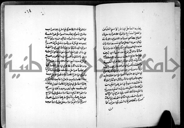 شرح شذور الذهب في معرفة كلام العرب 