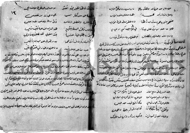 مولد النبي المصطفى