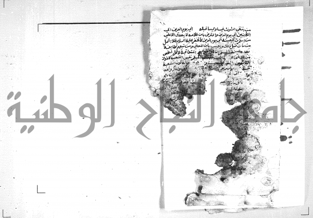 الهدهدي 