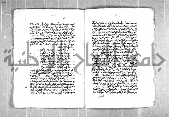 حاشية السجاعي على شرح قطر الندى وبل الصدى لابن هشام