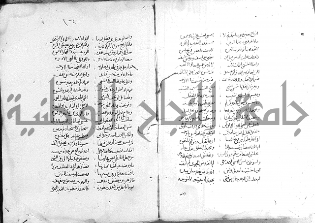 كتاب في الادب 