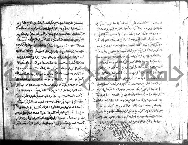منية الفتى 