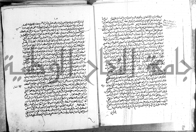 كتاب في اللغة العربية