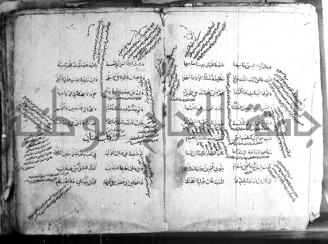 فقة حنفي 