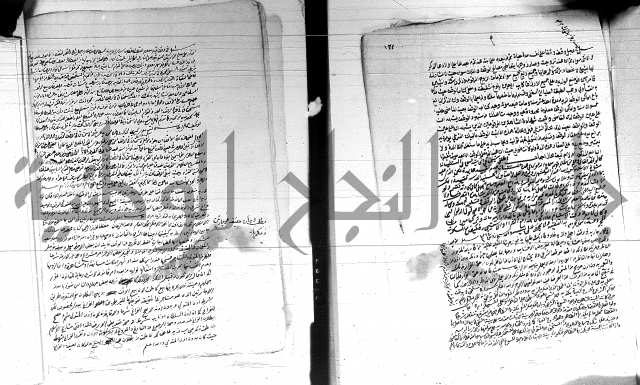 الفتاوى الحسينية