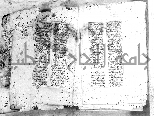 خلاصة التنوير 