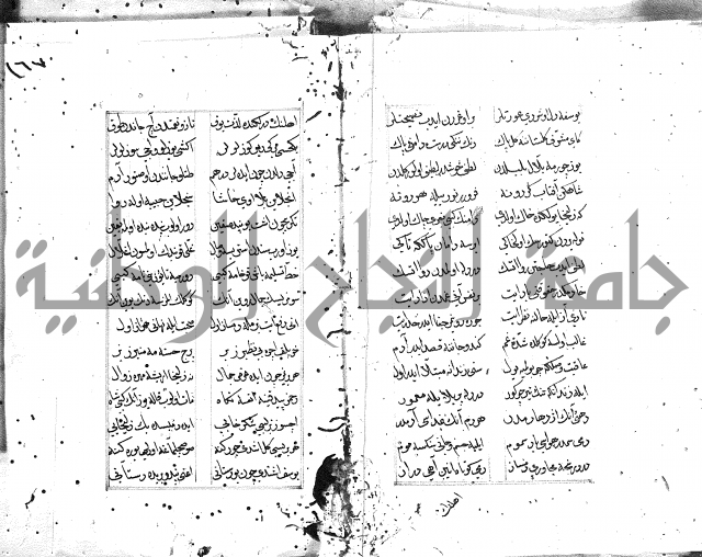 كتاب يوسف زليخا المؤلف 