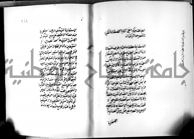 الرسالة البيانية