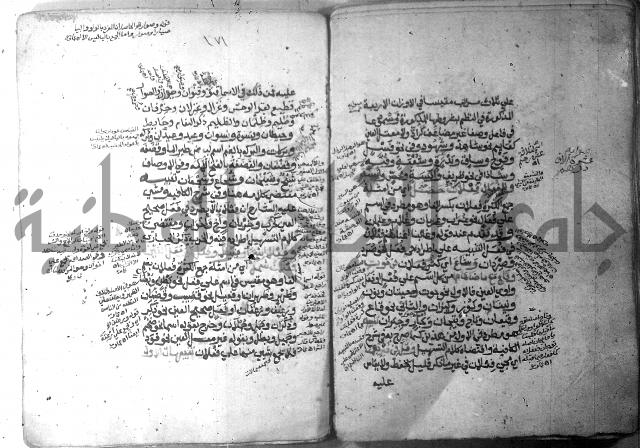 شرح الاشموني على الافية