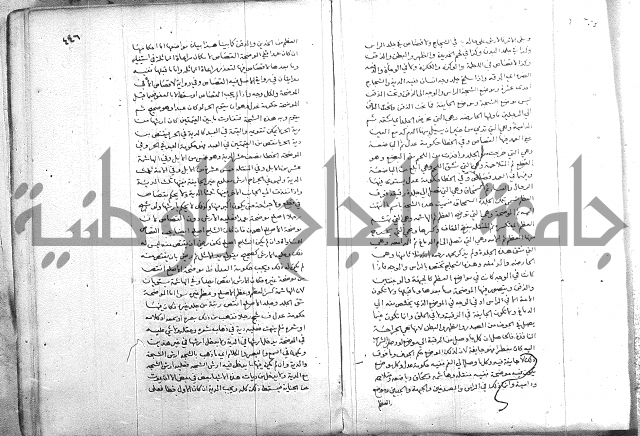 خزانة المفتين