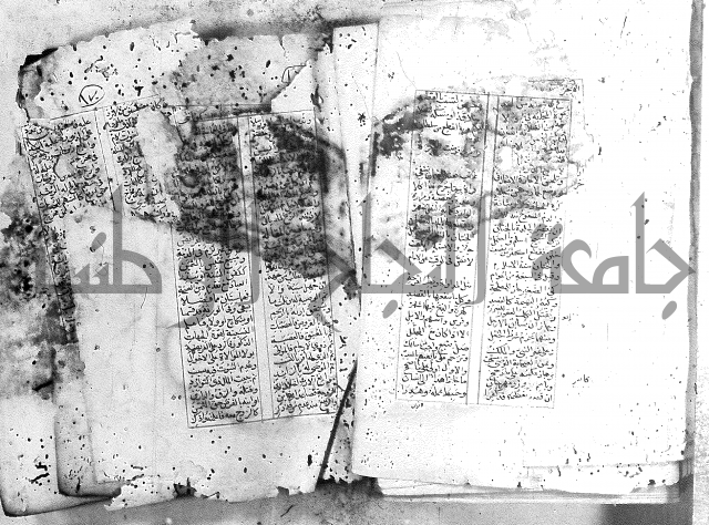 خلاصة التنوير 