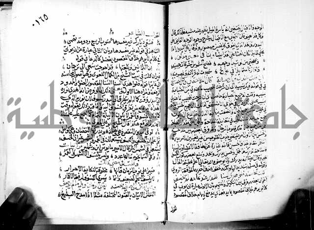 البحر الفائض في شرح ديوان ابن الفارض البوريني 