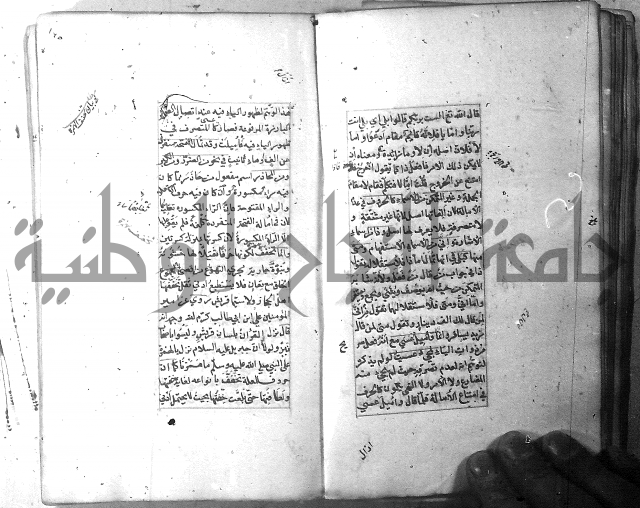 شرح الشافية 