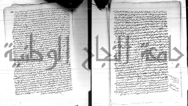 الفتاوى الحسينية
