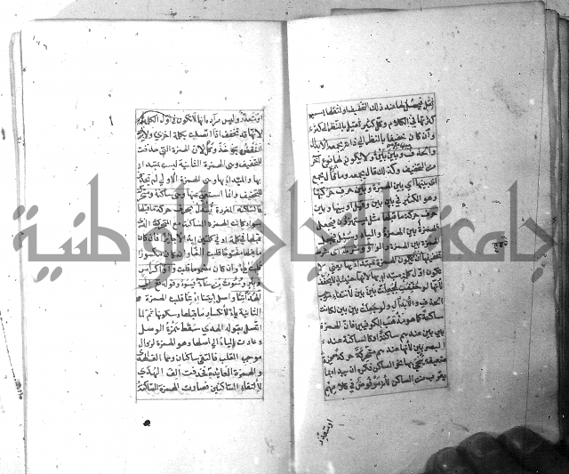 شرح الشافية 