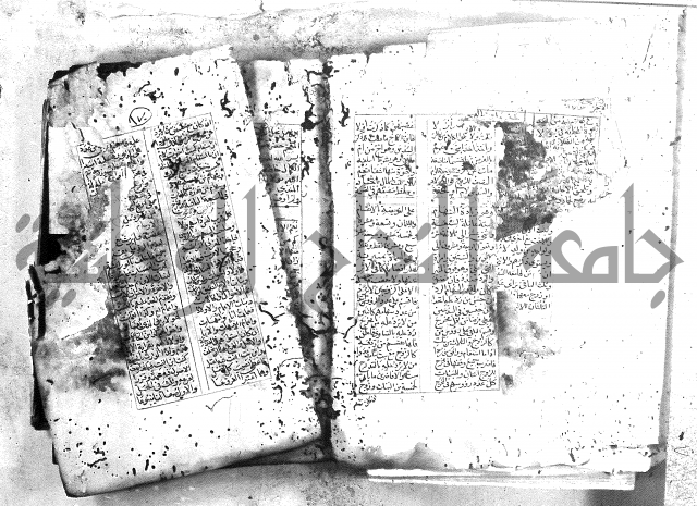 خلاصة التنوير 