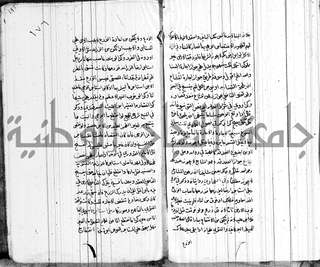 لسان الحكام