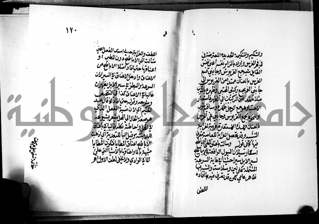 الرسالة البيانية