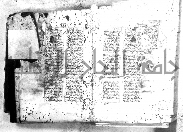 خلاصة التنوير 