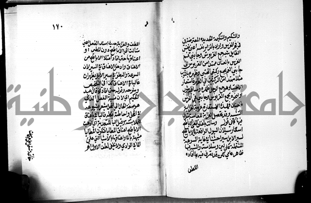 الرسالة البيانية