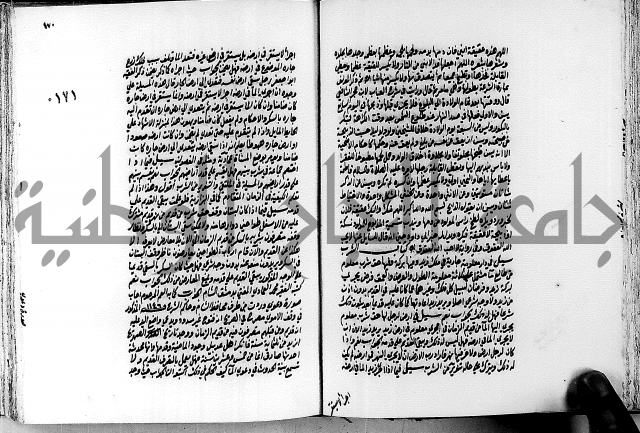 الجواهر الدورية في تنقيح الفتاوى الحامدية ج2 