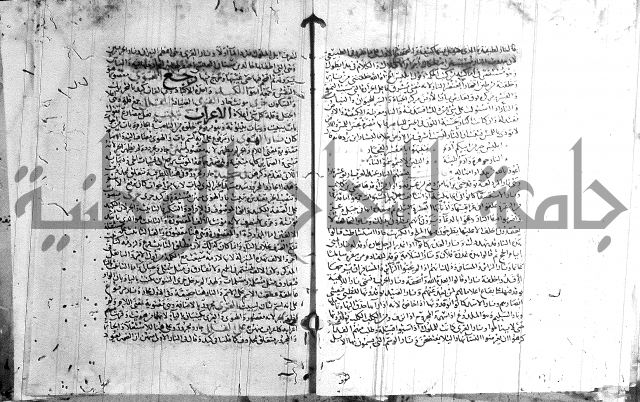 شرح لامية العجم 