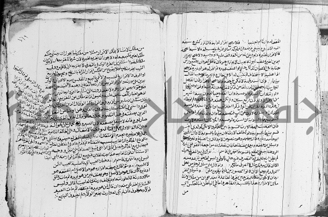 الزيادي على المنهج 